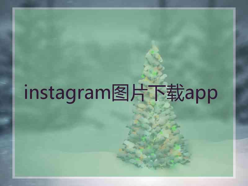 instagram图片下载app instagram图片下载app