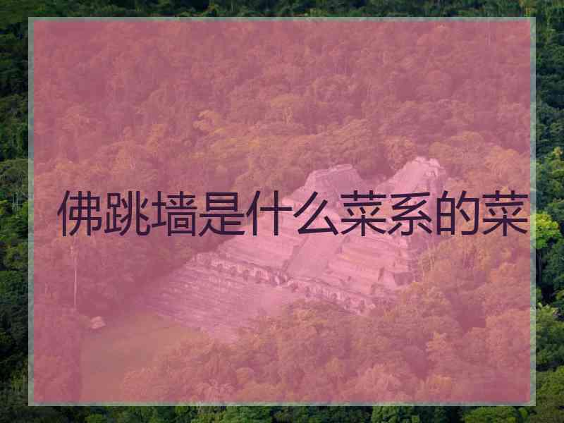 佛跳墙是什么菜系的菜