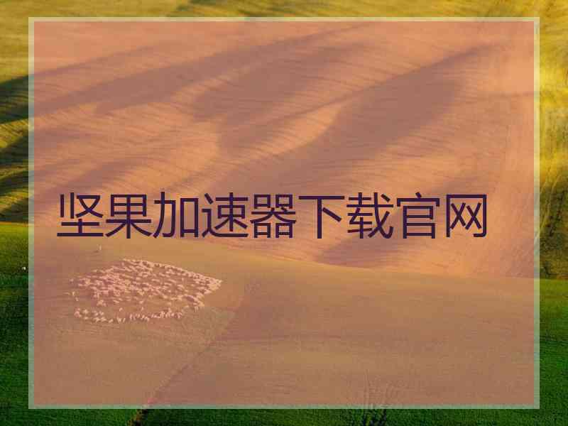 坚果加速器下载官网