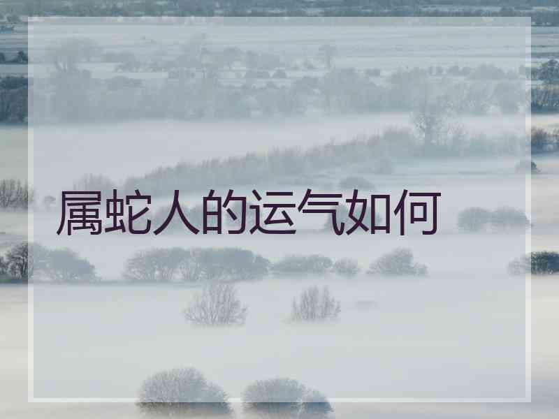 属蛇人的运气如何