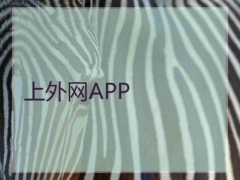 上外网APP