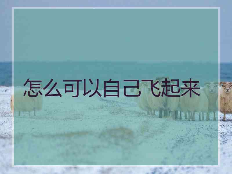 怎么可以自己飞起来