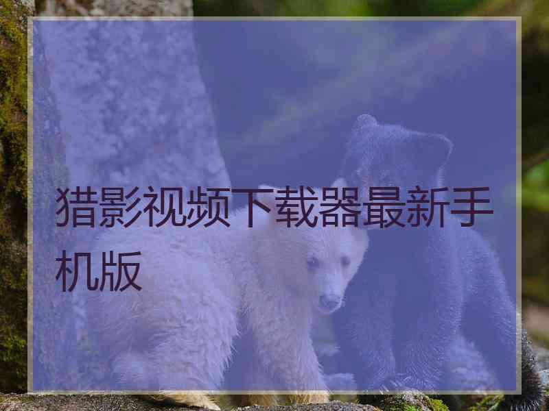 猎影视频下载器最新手机版