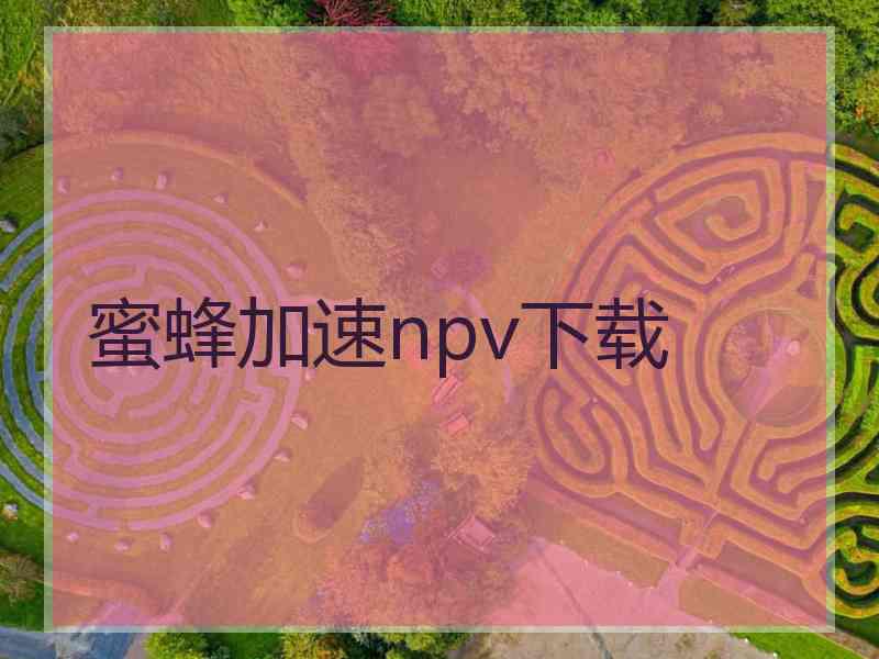 蜜蜂加速npv下载