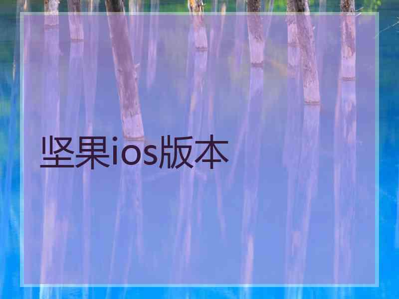 坚果ios版本