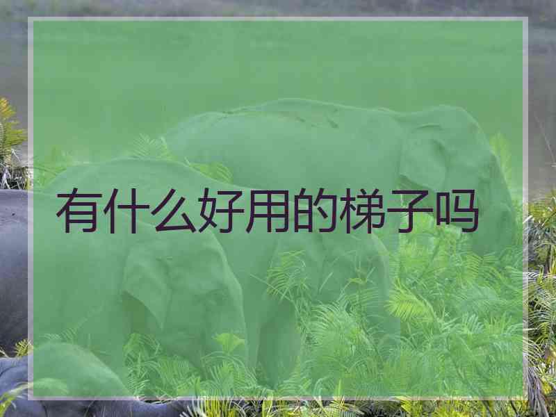 有什么好用的梯子吗
