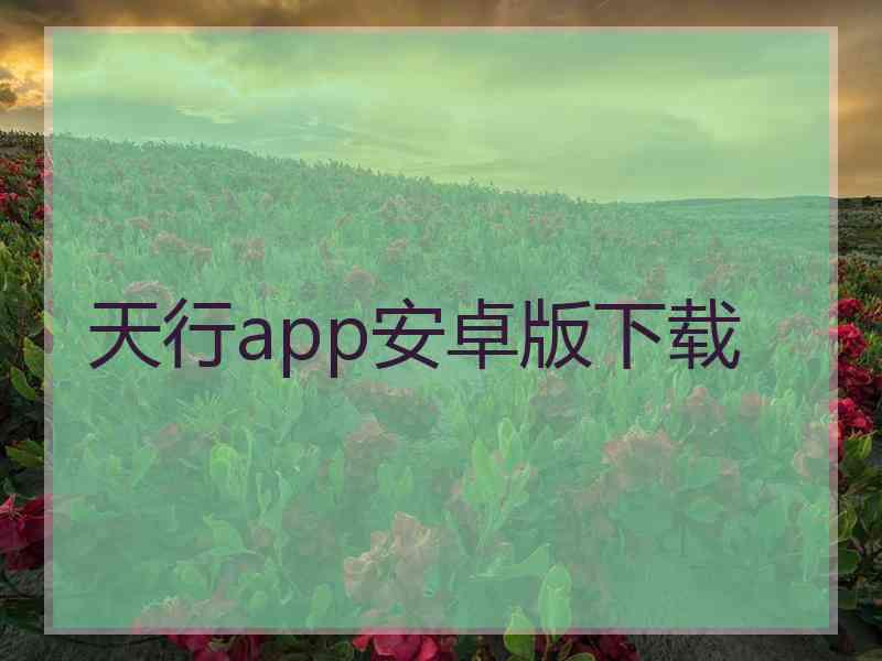 天行app安卓版下载