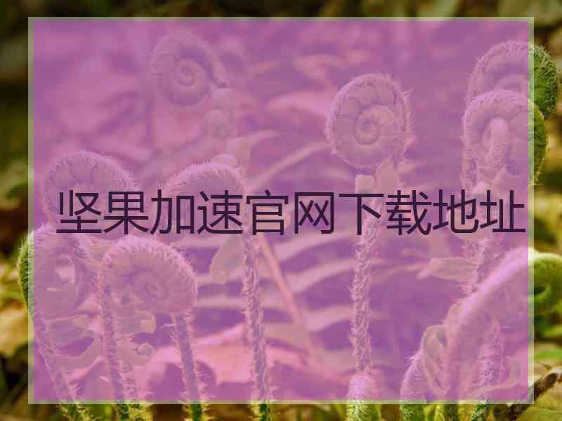 坚果加速官网下载地址