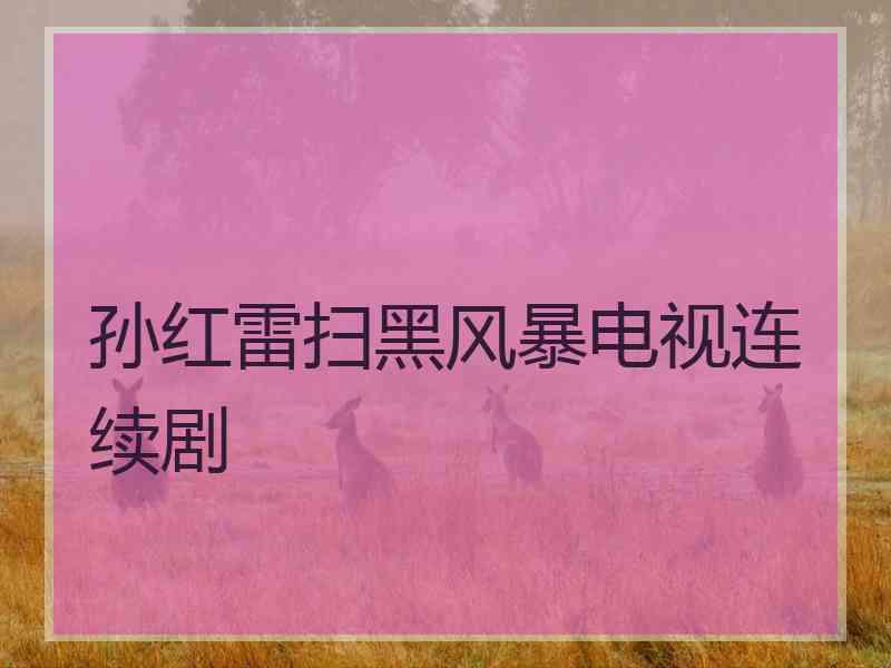 孙红雷扫黑风暴电视连续剧