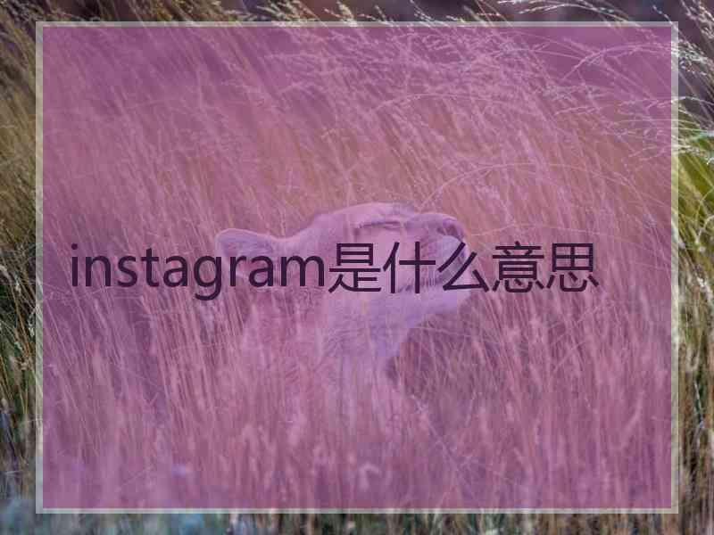 instagram是什么意思