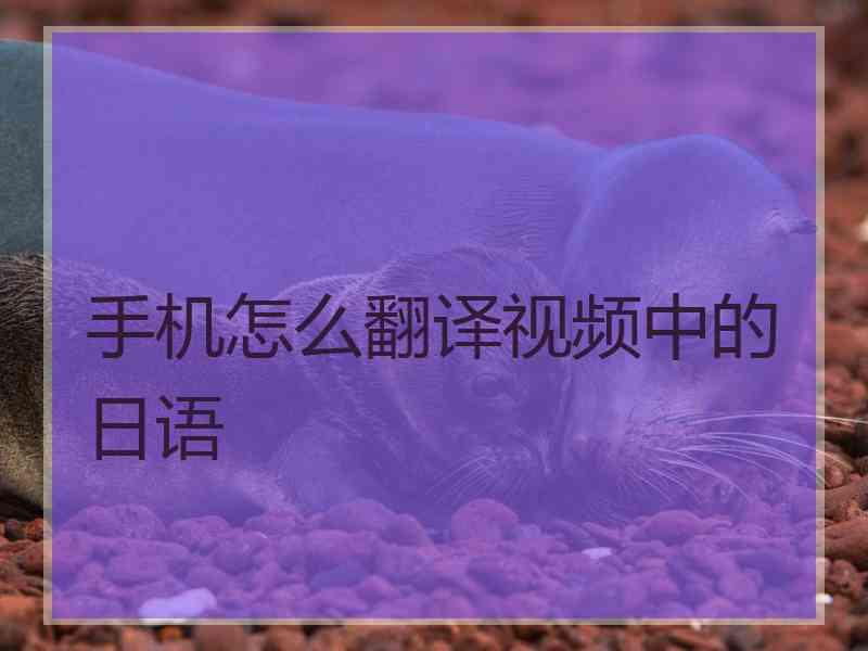 手机怎么翻译视频中的日语