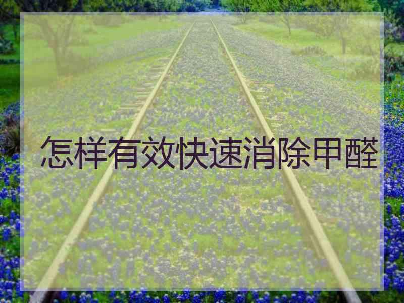 怎样有效快速消除甲醛