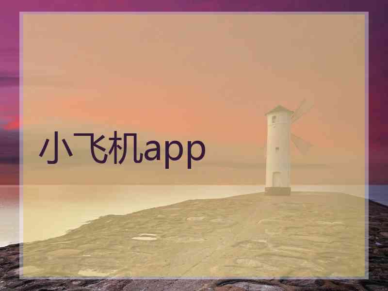 小飞机app