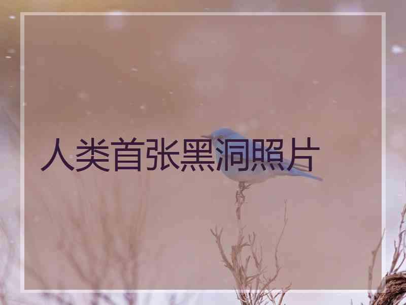 人类首张黑洞照片
