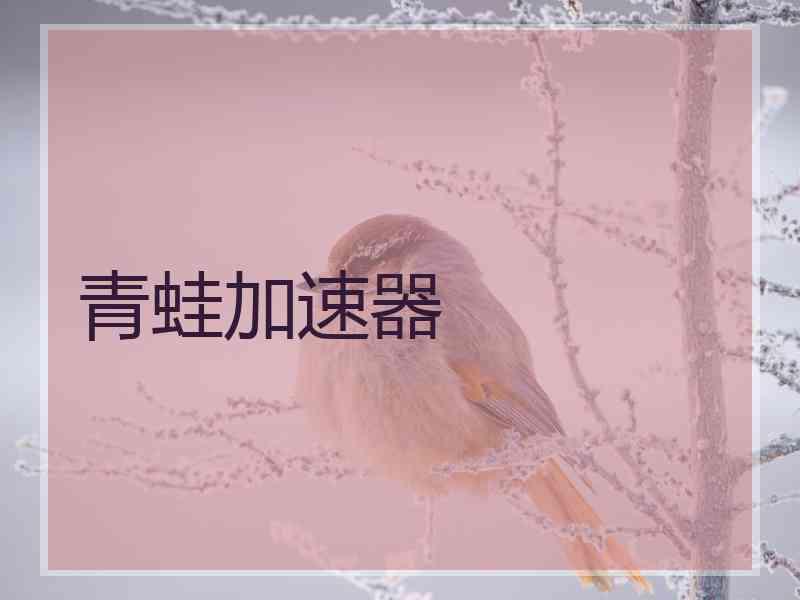 青蛙加速器