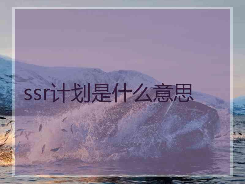 ssr计划是什么意思