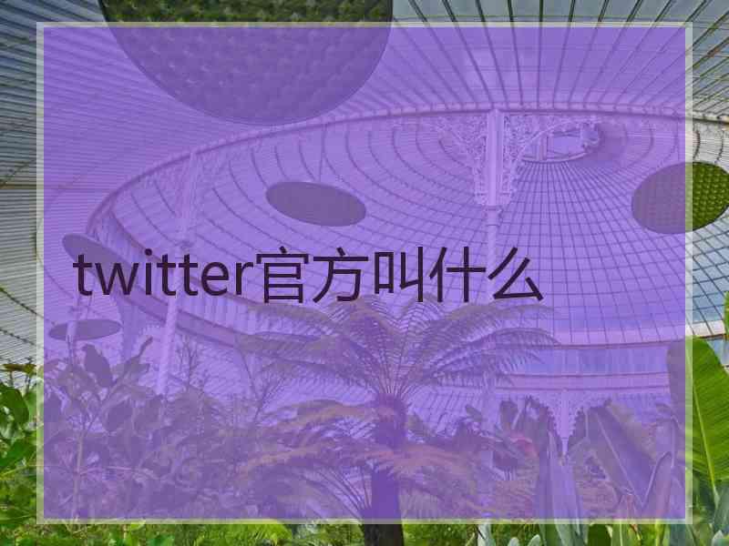 twitter官方叫什么