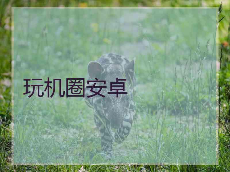 玩机圈安卓
