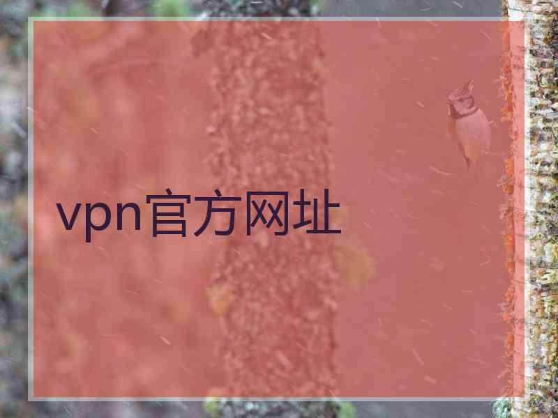 vpn官方网址