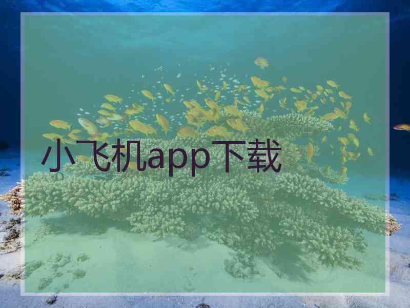 小飞机app下载