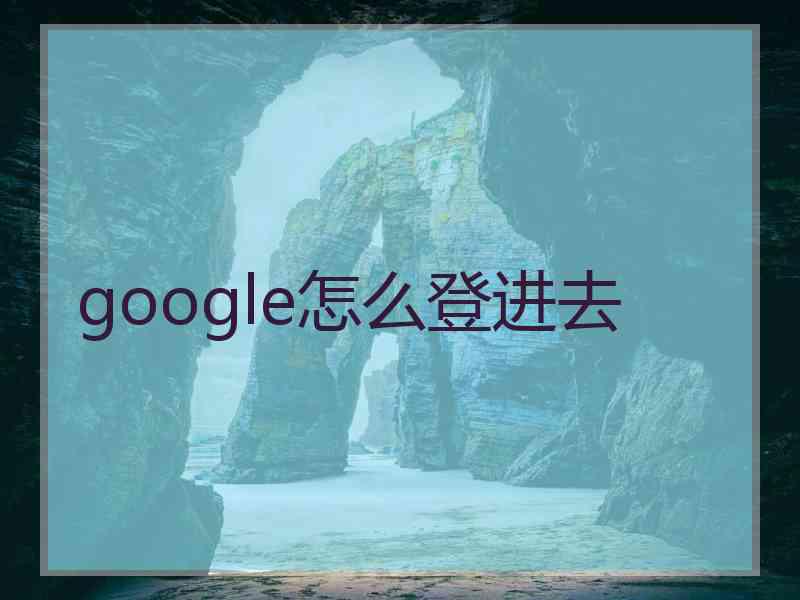google怎么登进去