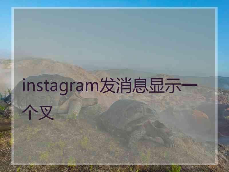 instagram发消息显示一个叉
