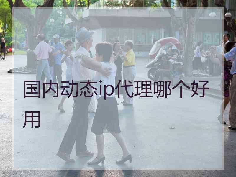 国内动态ip代理哪个好用