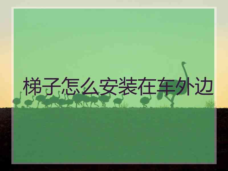 梯子怎么安装在车外边
