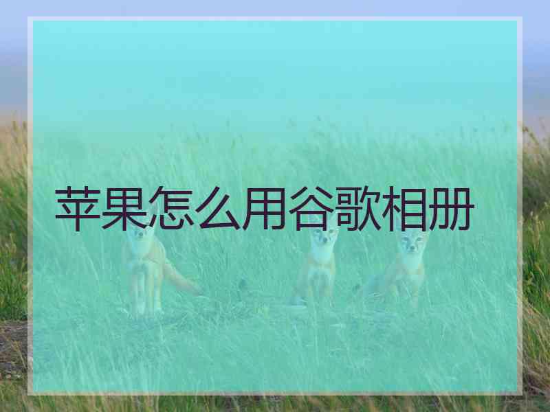 苹果怎么用谷歌相册