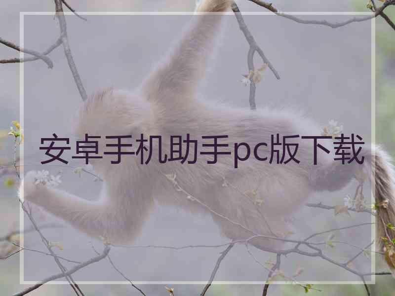 安卓手机助手pc版下载