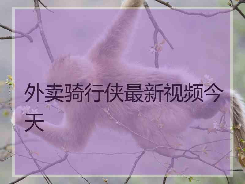 外卖骑行侠最新视频今天