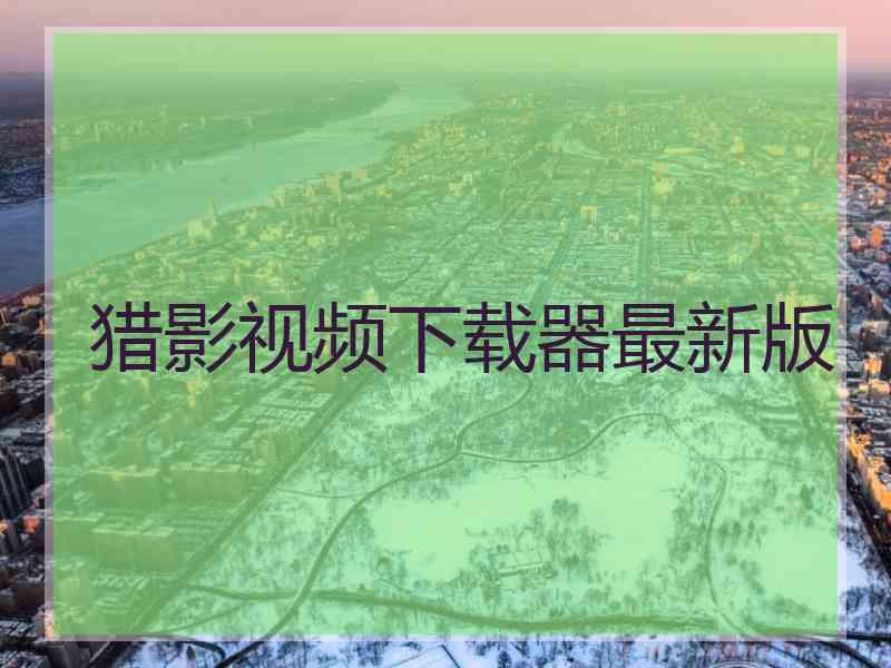 猎影视频下载器最新版