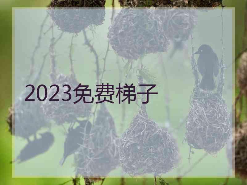 2023免费梯子