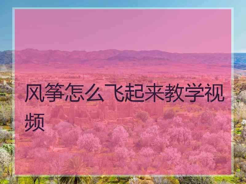 风筝怎么飞起来教学视频