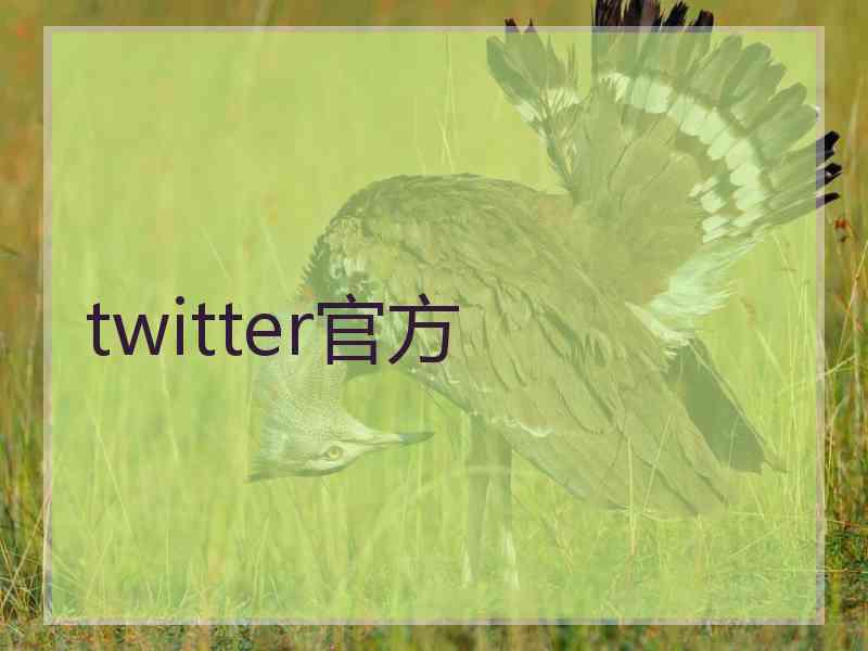 twitter官方