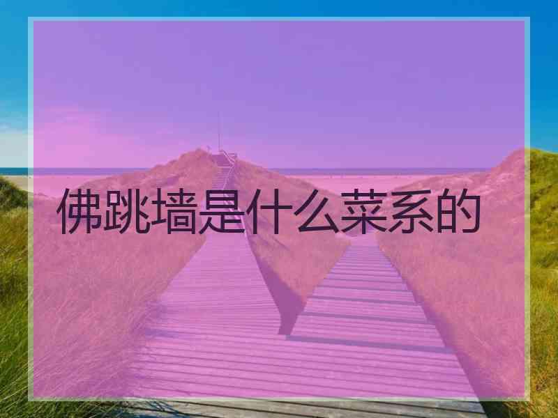 佛跳墙是什么菜系的
