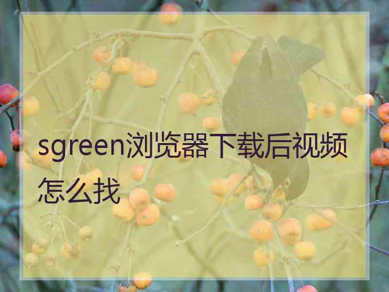 sgreen浏览器下载后视频怎么找