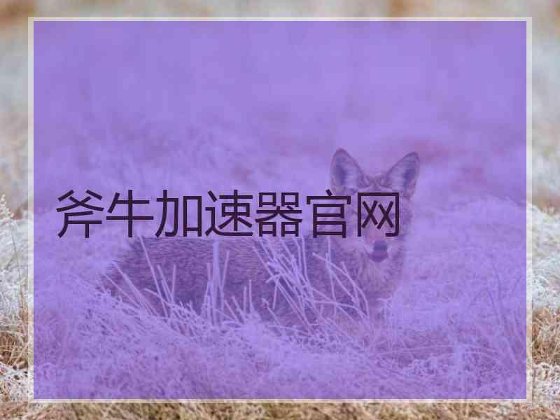 斧牛加速器官网
