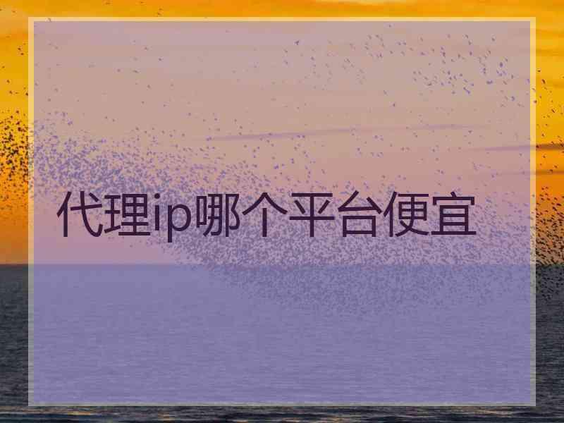 代理ip哪个平台便宜