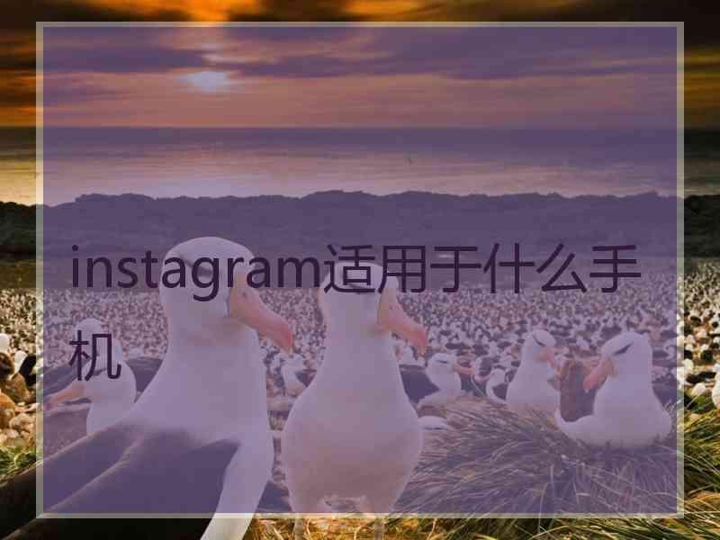 instagram适用于什么手机