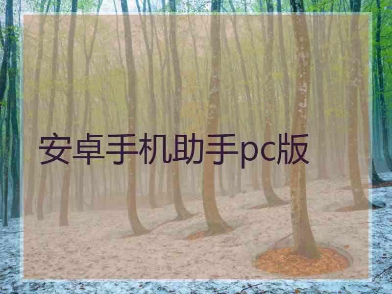 安卓手机助手pc版