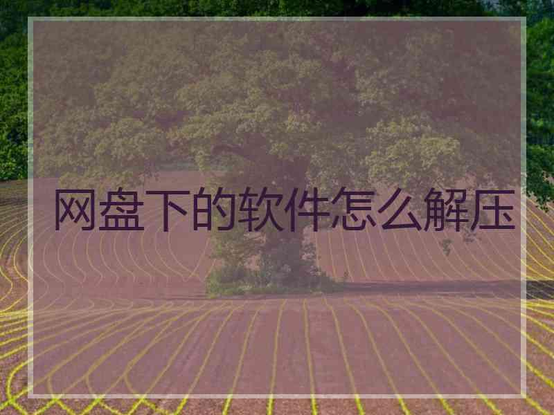 网盘下的软件怎么解压