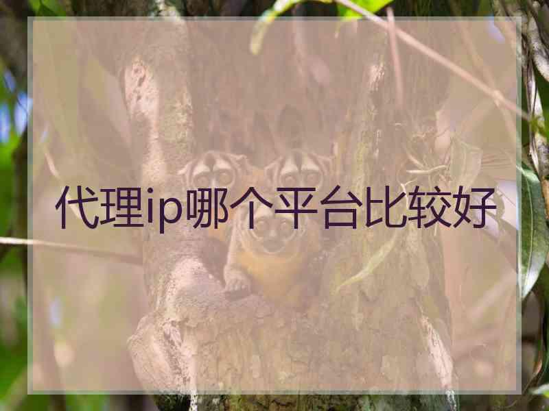 代理ip哪个平台比较好