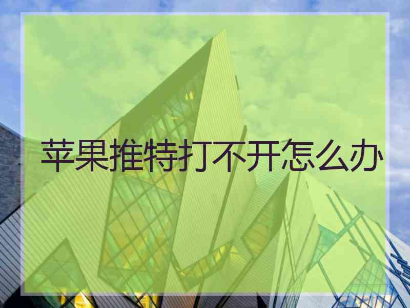苹果推特打不开怎么办