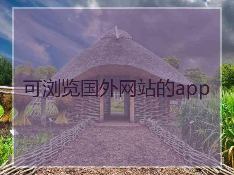 可浏览国外网站的app