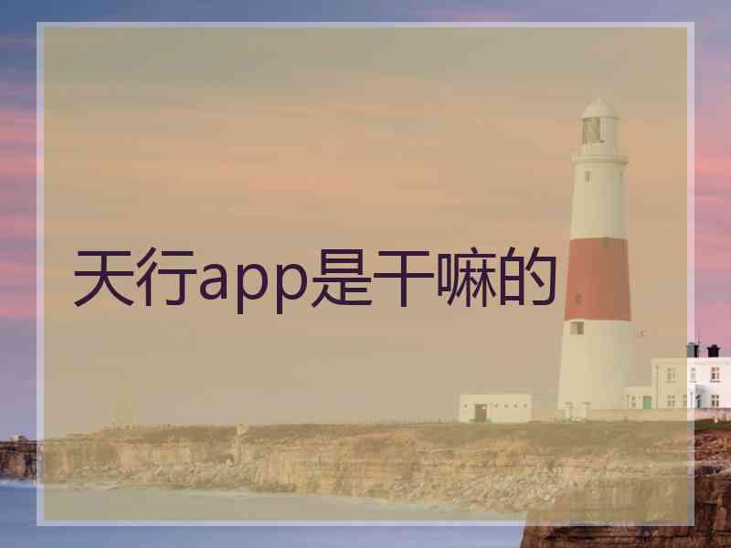 天行app是干嘛的