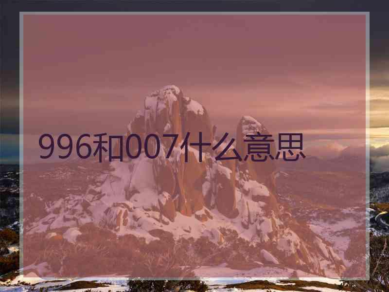 996和007什么意思