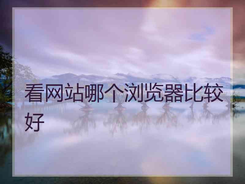 看网站哪个浏览器比较好