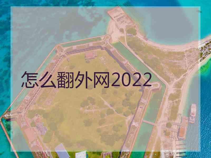 怎么翻外网2022