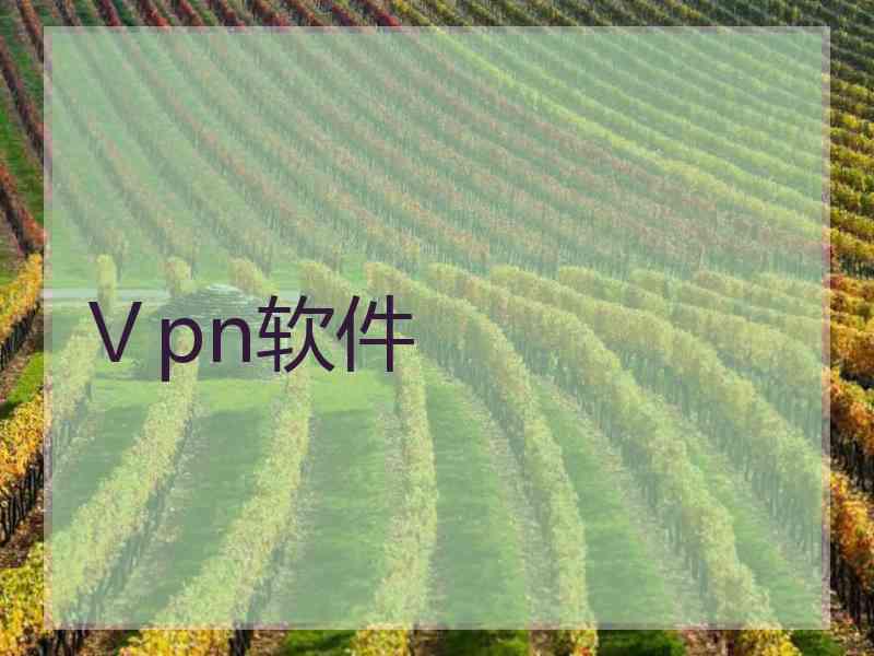 Ⅴpn软件
